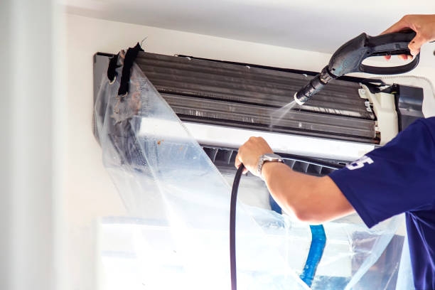 Best Air Duct Mold Removal  in Perry, OH